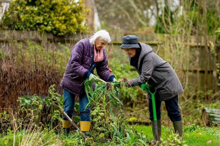 Eine Seniorin beschäftigt sich im Garten mit der Pflege von Gemüse